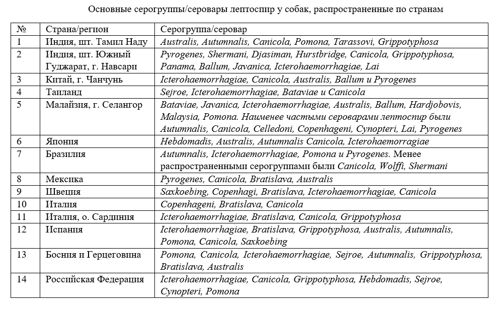 Изображение на обложке