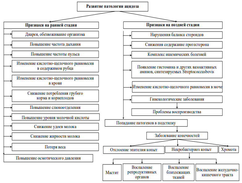 Изображение на обложке