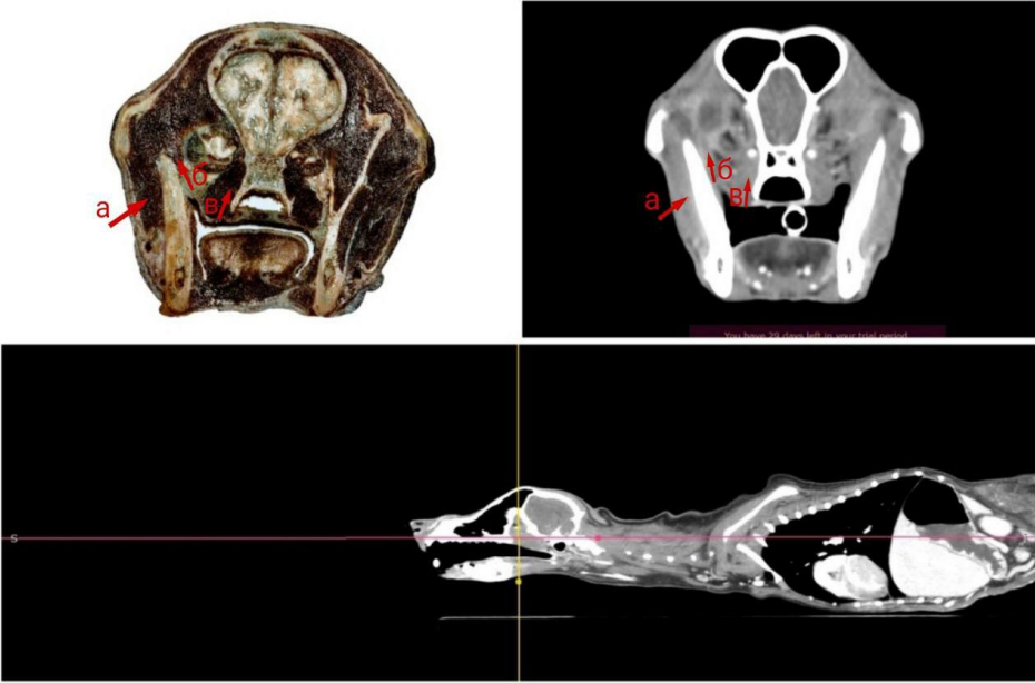 Изображение на обложке