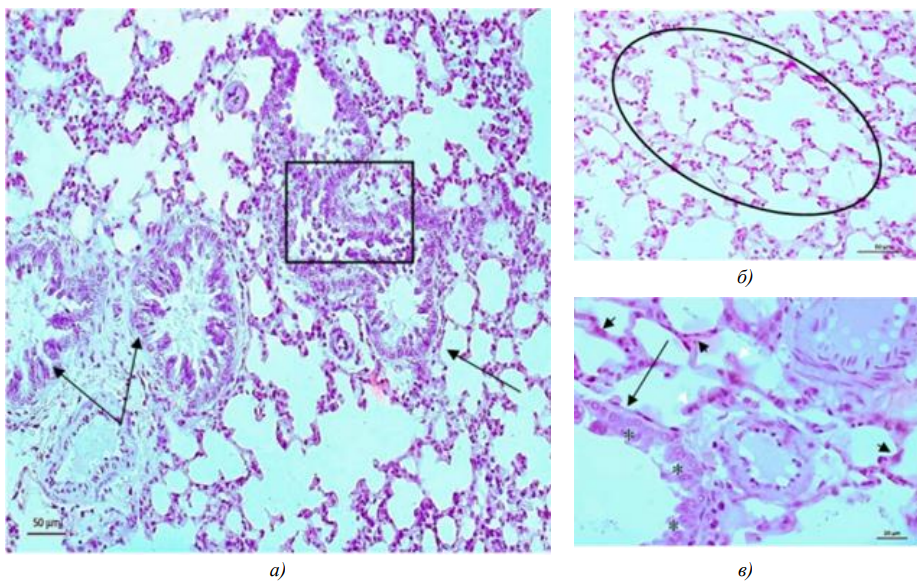 Изображение на обложке