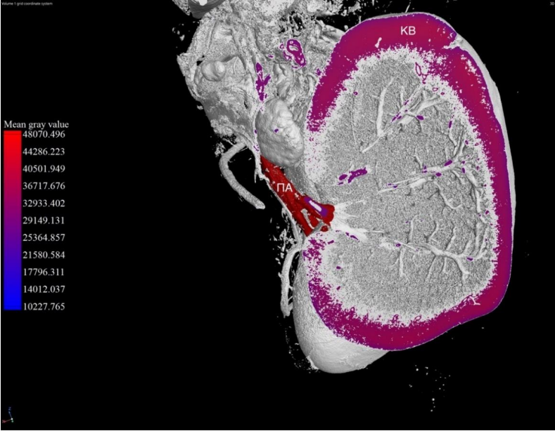 Изображение на обложке