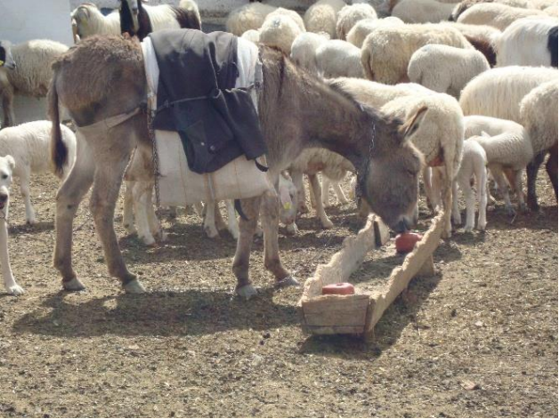 Изображение на обложке