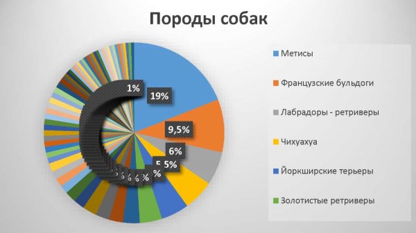 Изображение на обложке