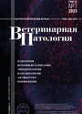 Титульный лист