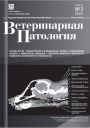 Титульный лист