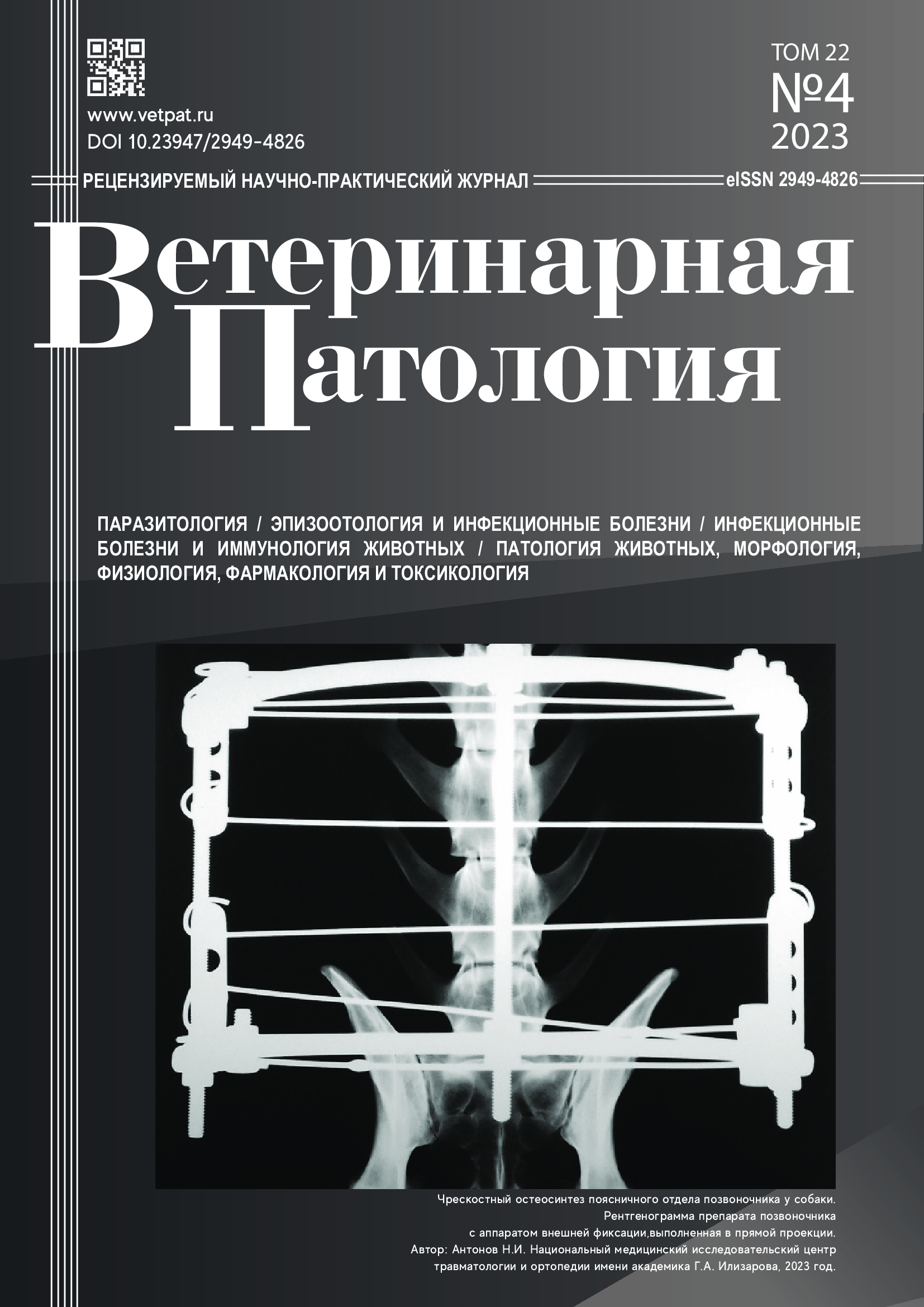Титульный лист