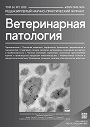 Титульный лист