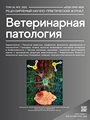 Титульный лист